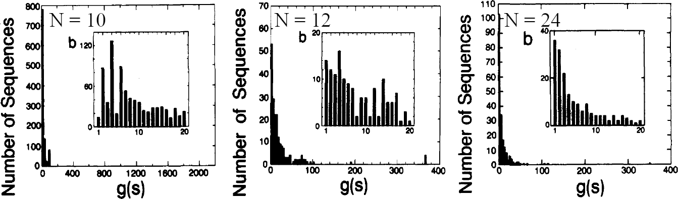 The distribution of the number of sequences having g(s) native conformations for chain length N = 10, 12 and 24. In the figure s = m^{\rm max}. Adapted from .