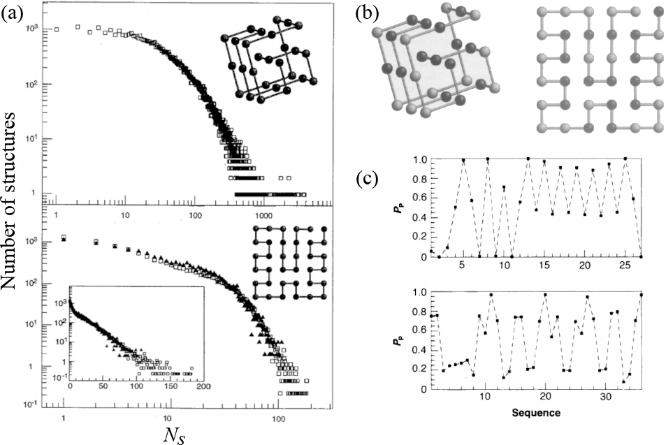 (a) The number of structures with the given N_s for the (top) 3x3x3 cube and (bottom) 6x6 square. In the bottom panel, the number of structures goes below 1 for large N_s, which, given its definition, should not happen. Perhaps the authors normalised the data in some way that, as far as I understand, is not specified in the original paper. (b) The most designable (A) 3D and (B) 2D structures. Hydrophobic and polar residues are coloured in black and grey, respectively. (c) The probability of finding a polar residue as a function of the sequence index for the same two structures. Adapted from .