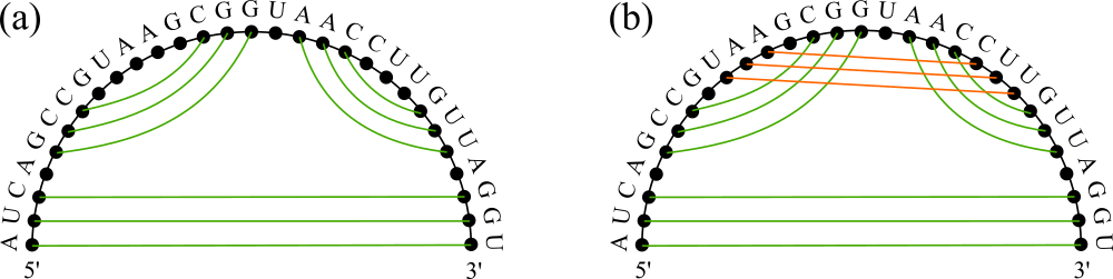 Possible secondary structures of an RNA strand of sequence AUCAGCCGUAAGCGGUAACCUUGUUAGGU, represented as graphs. The points are the nucleotides (i.e. the graph’s vertices), while lines that connect them are the graph’s edges. The black and coloured lines are the exterior and interior edges, respectively. In (a) no lines cross, while in (b) there are intersections between orange and green lines: a pseudoknot is present.
