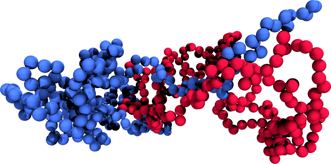 A simulation snapshot showing the two chains (coloured differently).