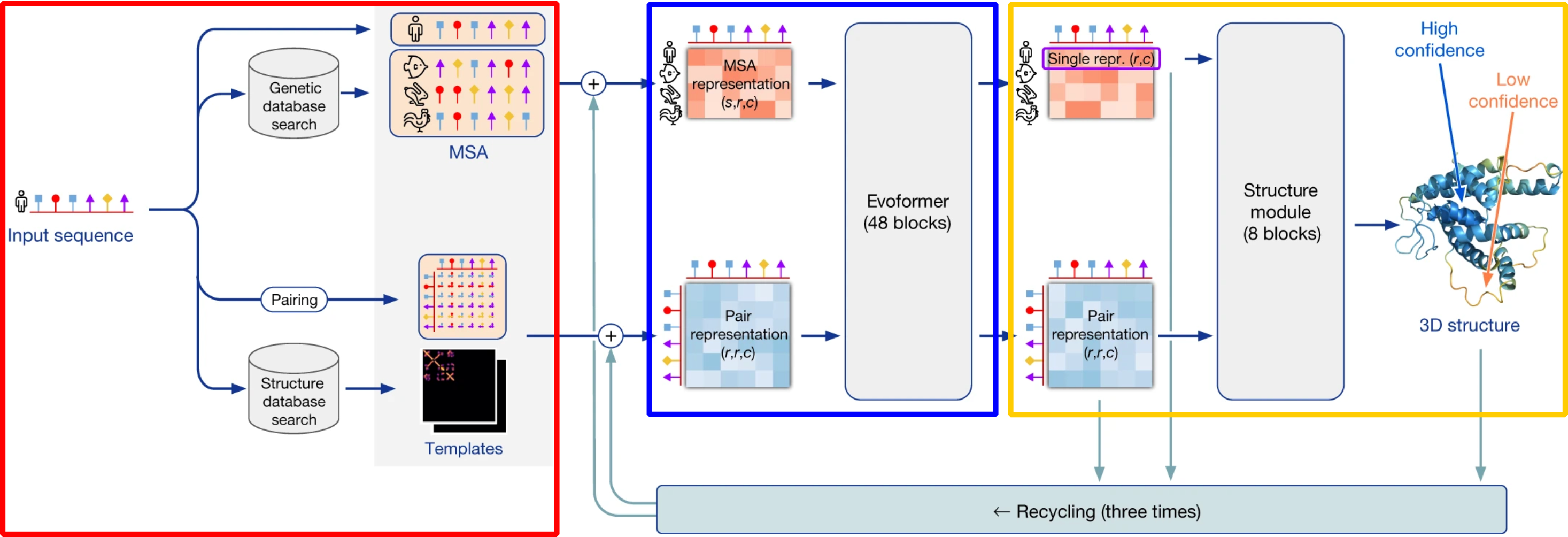 The architecture of AlphaFold. Arrows show how the information flows among the components. The input (preprocessing) module, the evoform and the structure module are highlighted in red, blue and yellow, respectively. Adapted from .