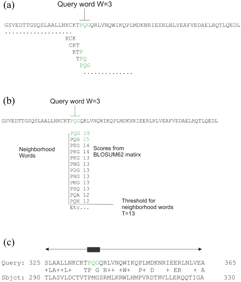 The three most important steps of the BLAST algorithm. (a) Generate the initial W-mers (W = 3). (b) Make the list of BLAST words using a threshold T. (c) Extend the matches into both directions until the score drops below a predetermined threshold.
