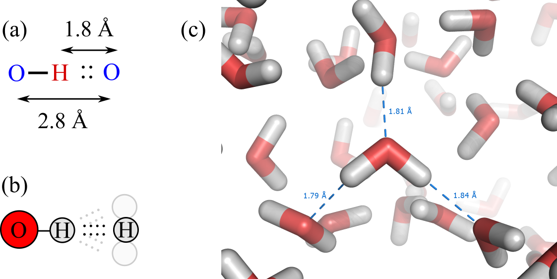 (a) Typical distances in a hydrogen bond. (b) Optimal hydrogen bonds are linear, but small deviations are possible. (c) Hydrogen bonds in a liquid water molecular dynamics simulation, with some acceptor-hydrogen distances highlighted (credits to Splette and Wikimedia).