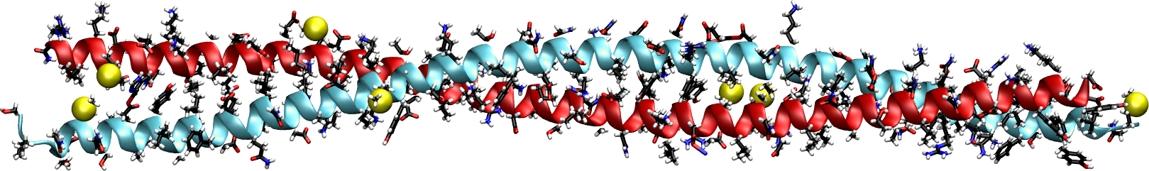 The crystal structure of interacting regions from the central coiled-coil domains of keratins 5 and 14. Side chains are shown with the licorice representation, while sulfur atoms are shown as yellow van der Waals spheres.