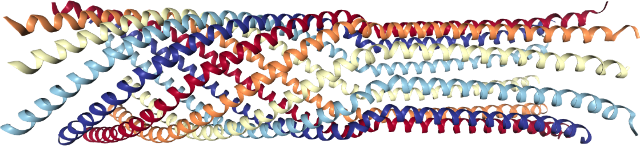 Notes for the Computational Biophysics class