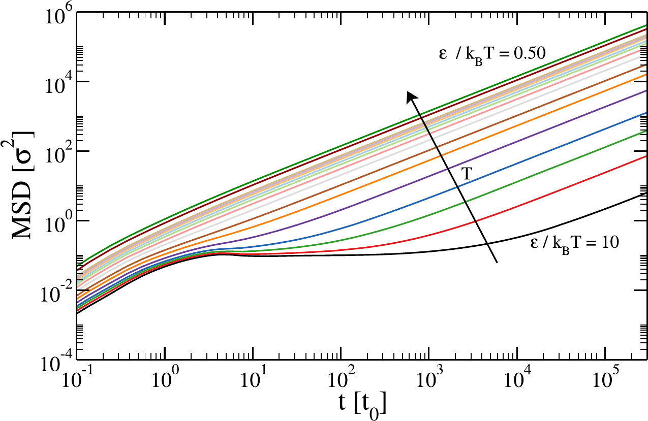 The mean-squared displacement of a coarse-grained system (a tetravalent patchy particle model) computed at fixed density and varying ratio between the attraction strength \epsilon (kept constant) and the thermal energy, k_B T. Taken from .