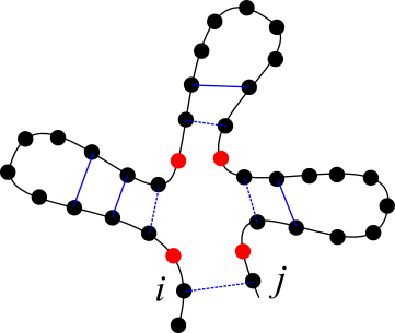 An example of a multibranched loop with k = 4 and k' = 4. Interior edges are coloured in blue, while the interior edges that define the multiloop are drawn with dashed lines. Unpaired nucleotides within the loop are coloured in red.