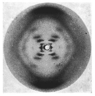 The famous “Photo 51”, taken 1952 by Raymond Gosling during his work with Rosalind Franklin. Credits to Raymond Gosling/King’s College London.