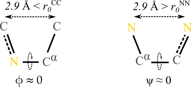 Cis conformation over \phi (left) and over \psi (right). The numbers above the dashed lines are the average distances between C (left) and N (right) atoms.