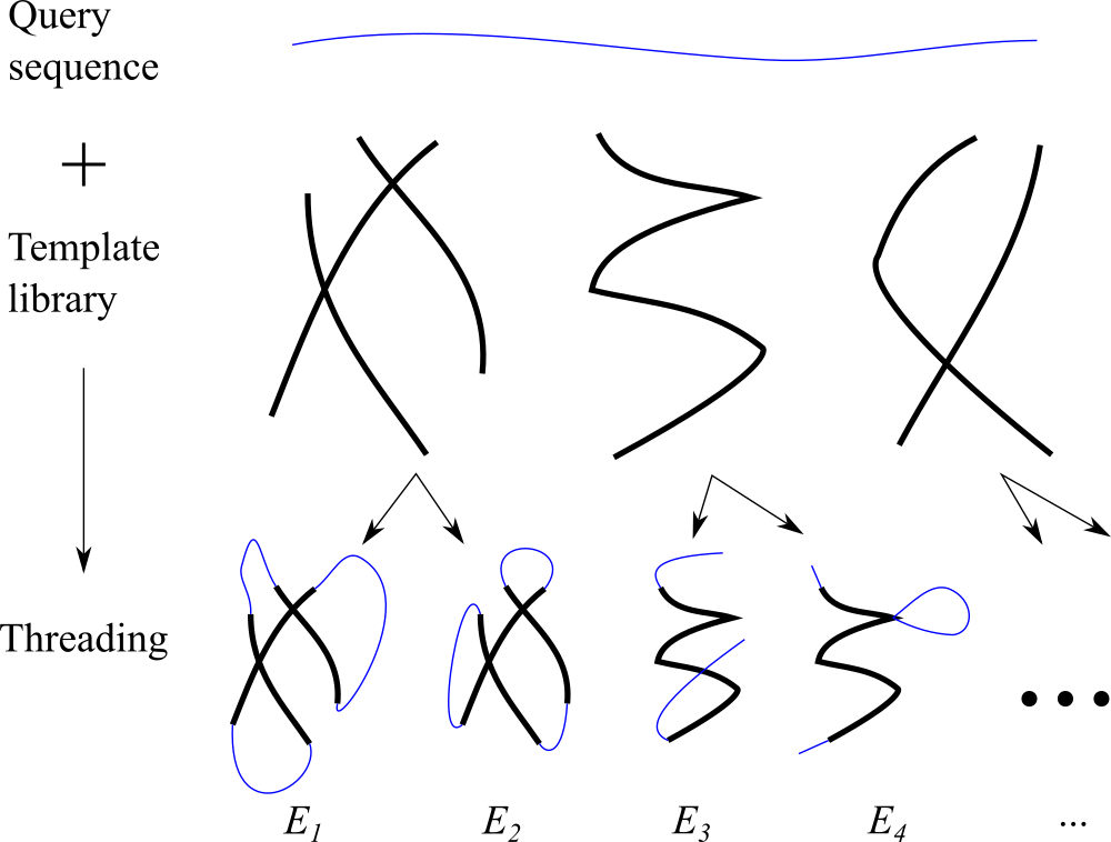 The basic idea of threading: a sequence is “threaded” through templates extracted from a database of known folds (e.g. the PDB), and the resulting structure is assigned an energy. The structure having the lowest energy is taken as the optimal candidate.