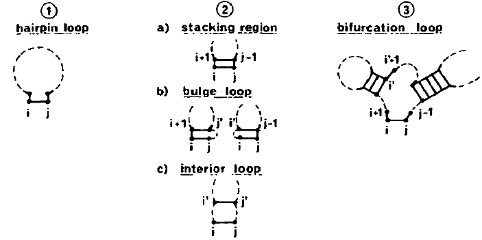 Possible substructures for the subsequence S_{ij}, constrained to the presence of an (i, j) edge. Adapted from .
